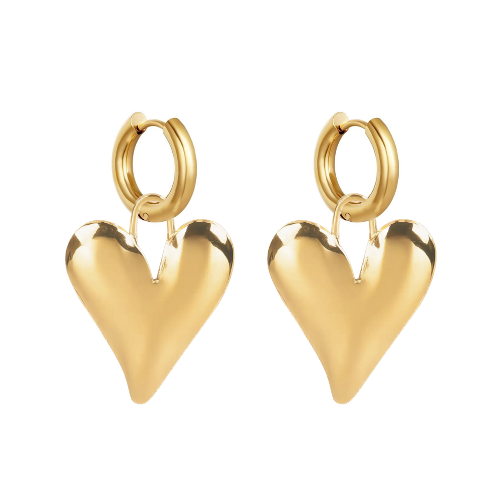 Stainless steel oorbellen met groot hart, de oorbellen zijn verkrijgbaar in het goud en in het zilver. Deze waterproof oorbellen zijn nikkelvrij en verkleuren niet als zij in aanraking komen met water.