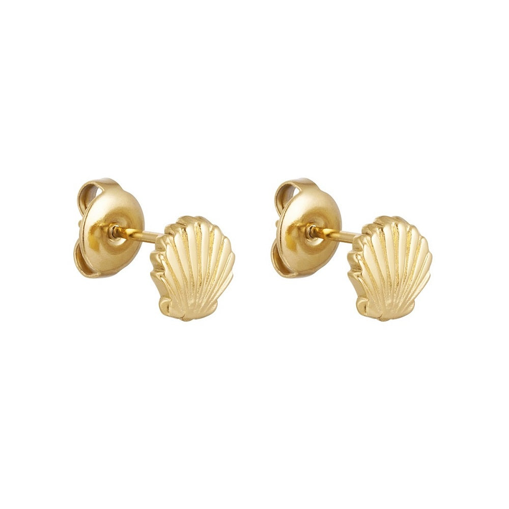 Oorknopjes shell goud, deze studs in de vorm van een schelpje zijn waterproof, stainless steel en nikkelvrij. De oorknopjes zijn verkrijgbaar in het goud en in het zilver. Deze studs in de vorm van een schelpje zijn te bestellen op www.jenelry.com