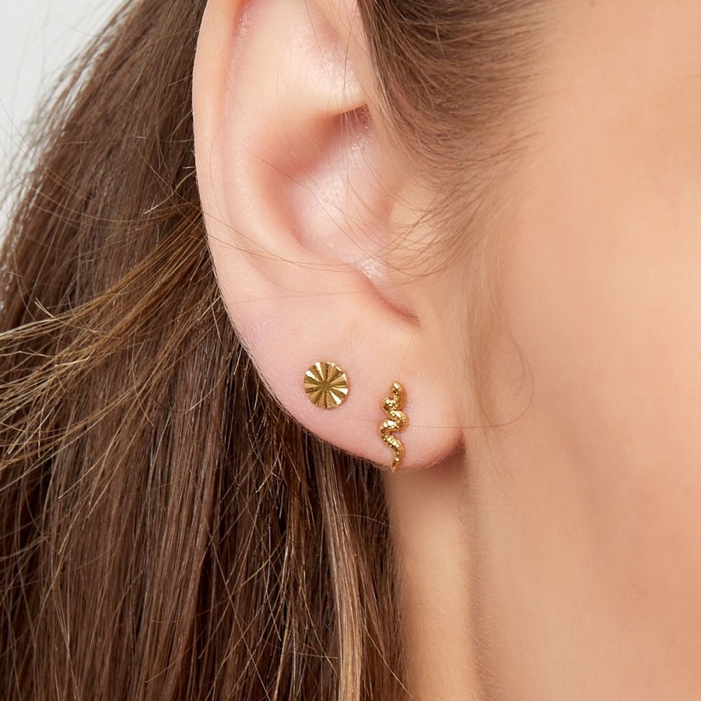 Oorknopjes Snake Goud, stainless steel oorknopjes in de vorm van een slang. De oorbellen of studs zijn stainless steel, nikkelvrij en hypoallergeen. De oorknopjes verkleuren niet als ze in aanraking komen met water. De studs zijn verkrijgbaar in het goud en in het zilver. De slang oorknopjes zijn te bestellen op www.jenelry.com