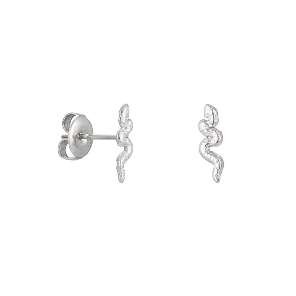 Oorknopjes Snake Zilver, stainless steel oorknopjes in de vorm van een slang. De oorbellen of studs zijn stainless steel, nikkelvrij en hypoallergeen. De oorknopjes verkleuren niet als ze in aanraking komen met water. De studs zijn verkrijgbaar in het goud en in het zilver. De slang oorknopjes zijn te bestellen op www.jenelry.com