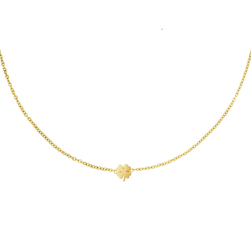 De subtiele ketting Lucky Charm Goud is gemaakt van Stainless Steel, hierdoor is de ketting waterproof en verkleurt de ketting niet wanneer hij in aanraking komt met water. De ketting is nikkelvrij en hypoallergeen. De ketting is verkrijgbaar in de kleur goud en zilver en is te bestellen op www.jenelry.com