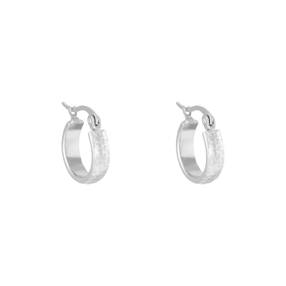 Waterproof Oorbellen Big Jungle Zilver, zilveren oorbellen die niet verkleuren als zij in aanraking komen met water. De oorbellen zijn waterproof, nikkelvrij en gemaakt van stainless steel. Bestel ze vandaag voor 17:00 en ze worden vandaag verzonden!